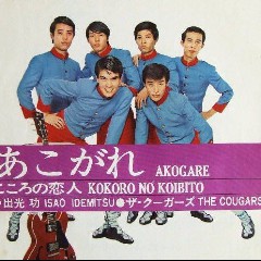 The Cougars