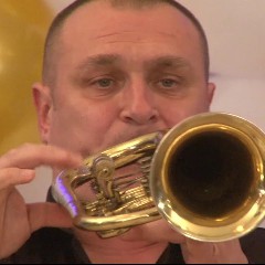 Mikan njegusic