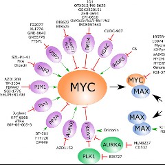 M.Y.C.