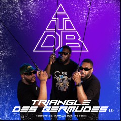 TRIANGLE DES BERMUDES