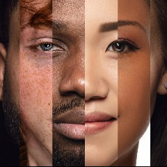 Human