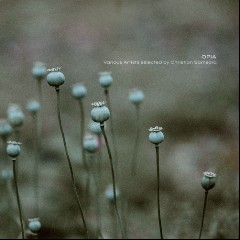 Carbon Based Lifeforms & Erot