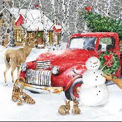 Country for Christmas