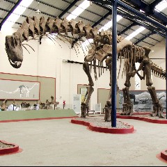 Titanosaur