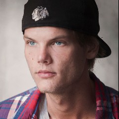 Tim Berg & Avicii
