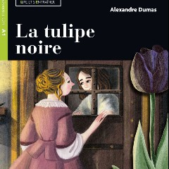Tulipe Noire