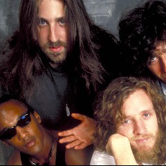 Spin Doctors