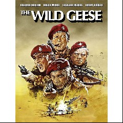 Wild Geese