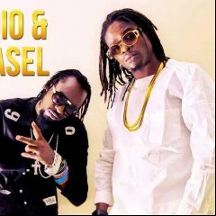 Radio & Weasel