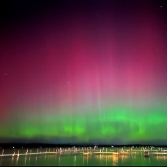 Lights Of Saratoga