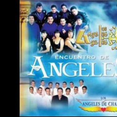 Los Angeles Azules & Rayito Colombiano