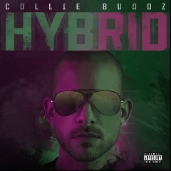 Collie Buddz feat. B Young & Russ