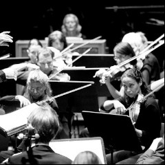 The Vienna Symphony Orchestra