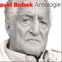 Bobek Pavel