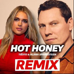 Tiësto & Alana Springsteen
