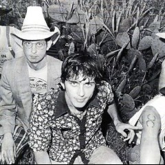 Hickoids