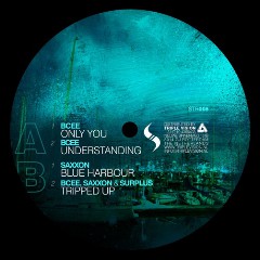 Bcee, Surplus, Saxxon