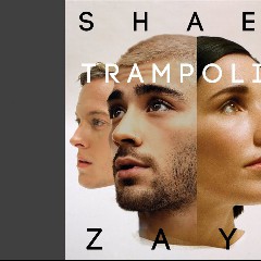 SHAED & ZAYN