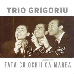 Trio Grigoriu