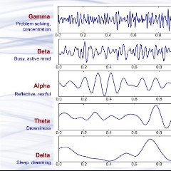 Brain Waves