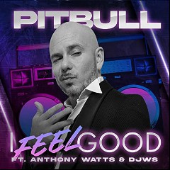 Pitbull ft. Anthony Watts & DJWS