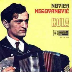 Novica Negovanović