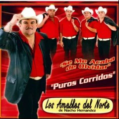 Chalino Sanchez/Los Amables Del Norte