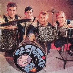 The Spotnicks