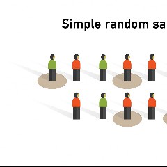 Random Sample