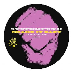 Systemfunk