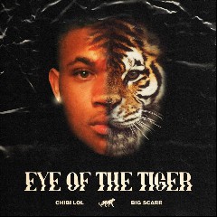 Eye of the Tiger (Schranz Boo