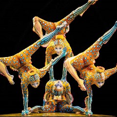 Cirque du Soleil