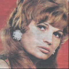 Silvana Armenulić