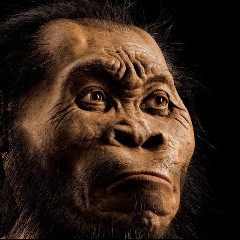 Ancient Man