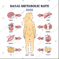 B.M.R.
