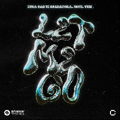 Luca‐Dante Spadafora, MOTi & VIZE