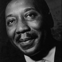 Muddy Waters