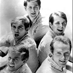 ﻿THE BEACH BOYS
