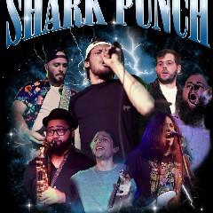 Shark Punch