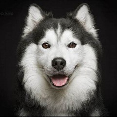 Haska