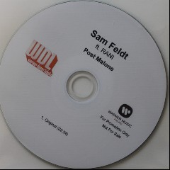 Sam Feldt feat. RANI
