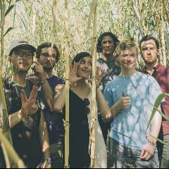 Pinegrove