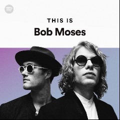 Bob Moses, Amtrac
