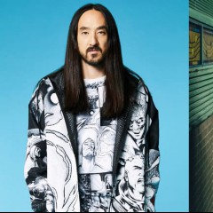 Steve Aoki & k?d
