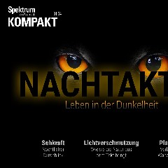 Nachtaktiv