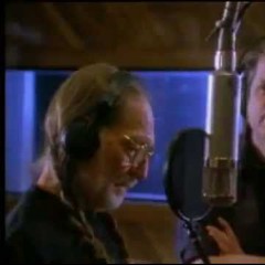The Beach Boys feat. Willie Nelson