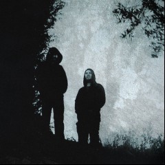 Woods of Desolation