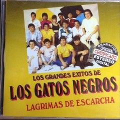 LAGRIMAS DE ESCARCHA