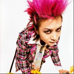 hide