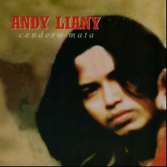 Andy Liany